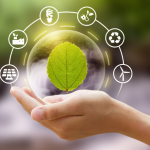 Vanuza Vidal Sampaio