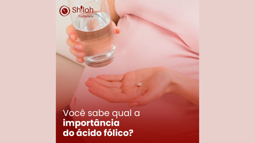 O papel do ômega-3 na fertilidade feminina é destacado por Oluwatosin Tolulope Ajidahun como essencial para a saúde reprodutiva.