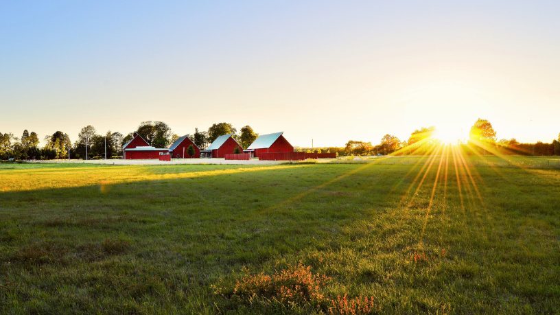 Viver do campo é viver de propósito — afirma Aldo Vendramin ao valorizar as tradições e os costumes que moldam o agro.