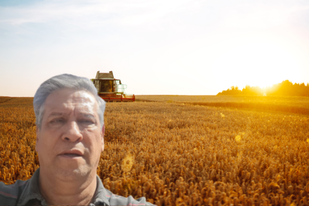 Ricardo Chimirri Candia destaca como políticas preventivas e cultura de segurança podem reduzir drasticamente os acidentes na construção pública.