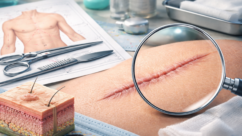 Haeckel Cabral Moraes